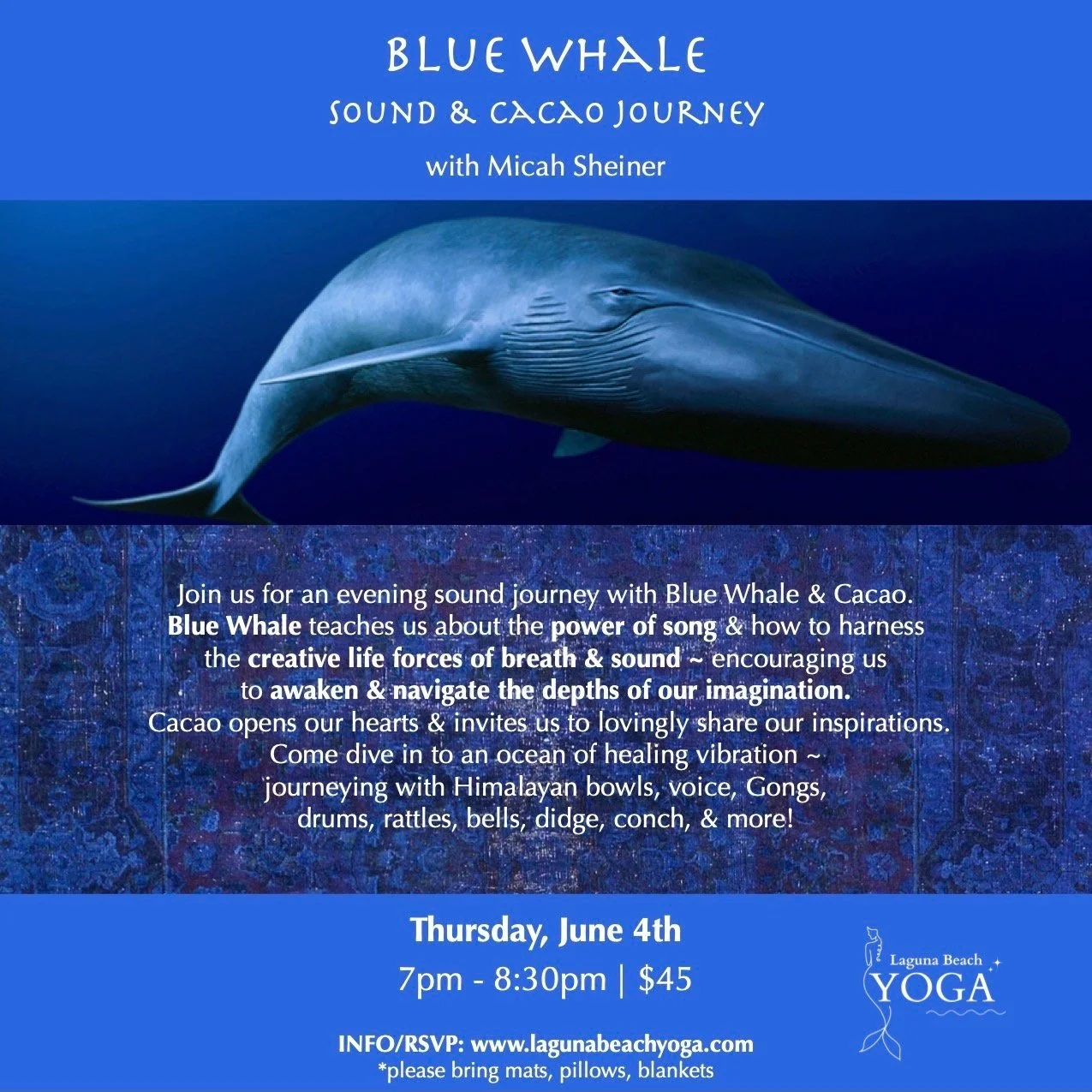 Blue Whale Laguna June 4.jpeg