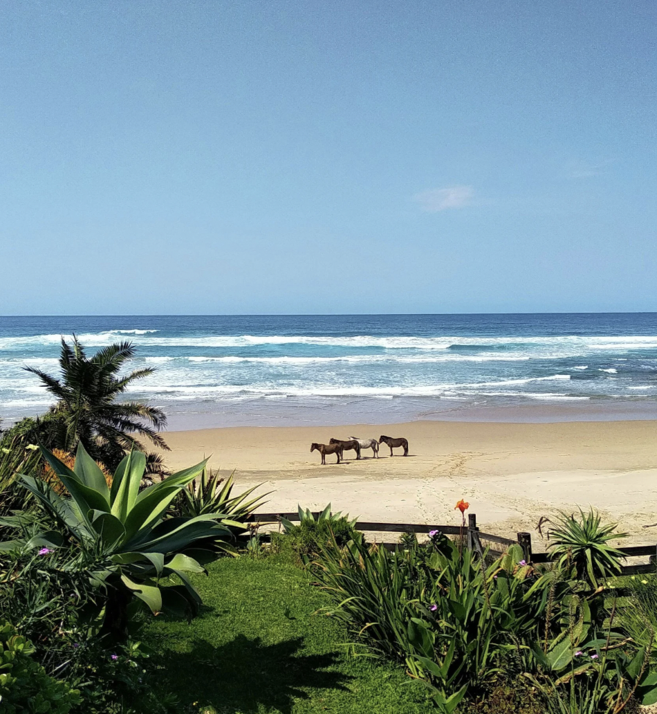 Screenshot 2026-02-23 at 12.21.50 PM.png