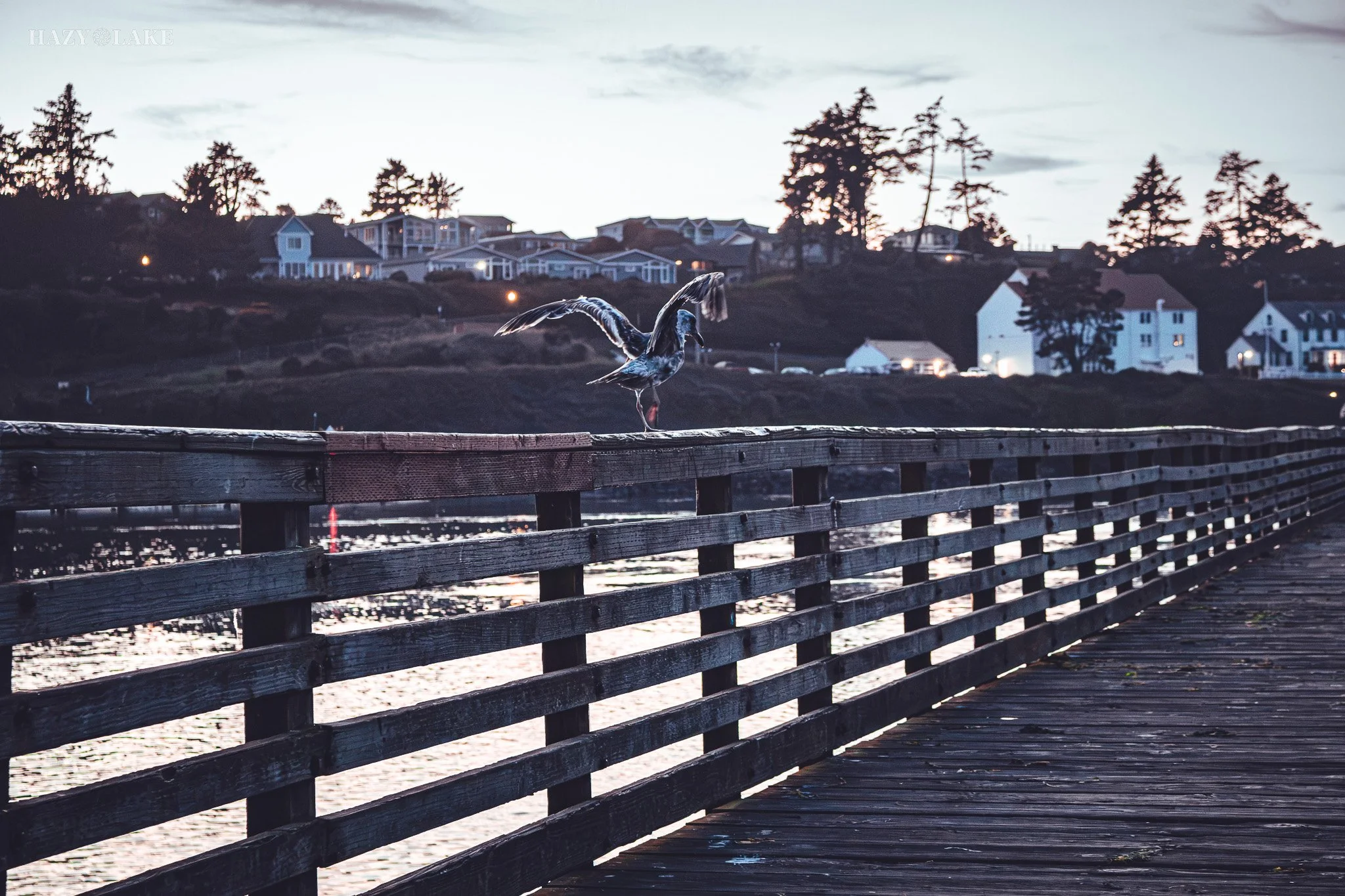DevilsPunchbowlOtterBeach2026-24.jpg