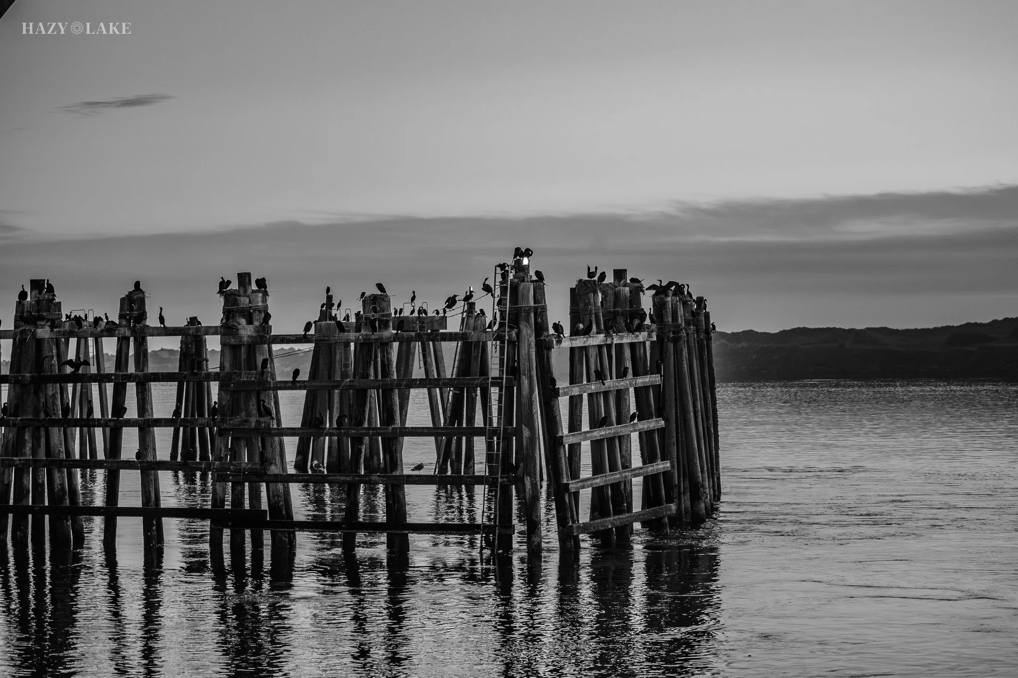 DevilsPunchbowlOtterBeach2026-18.jpg
