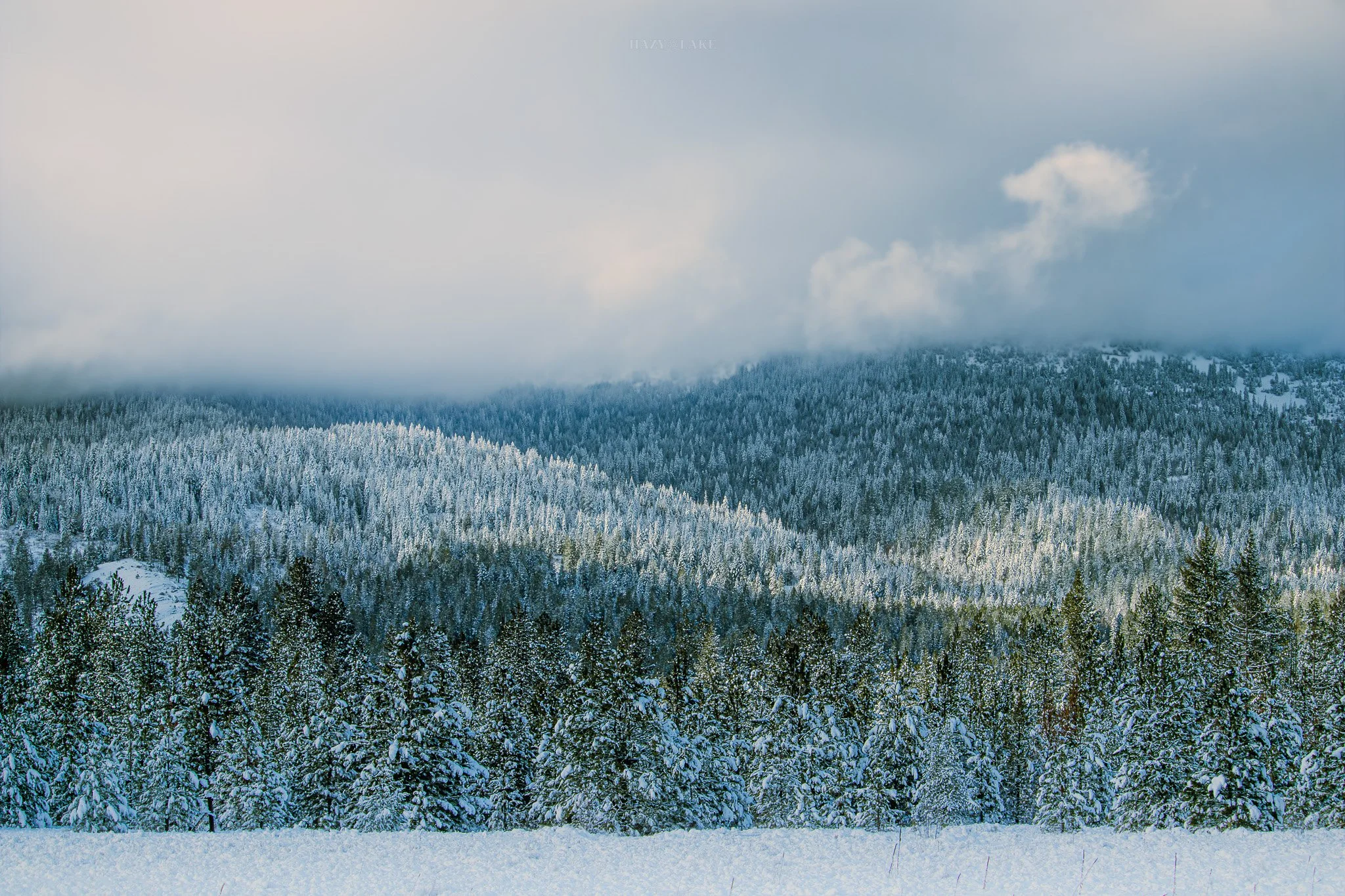 Hazy Lake Studio-Rahdrum-354.jpg