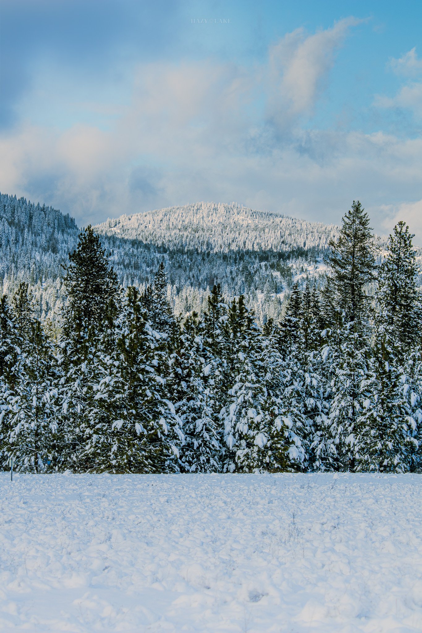 Hazy Lake Studio-Rahdrum-355.jpg