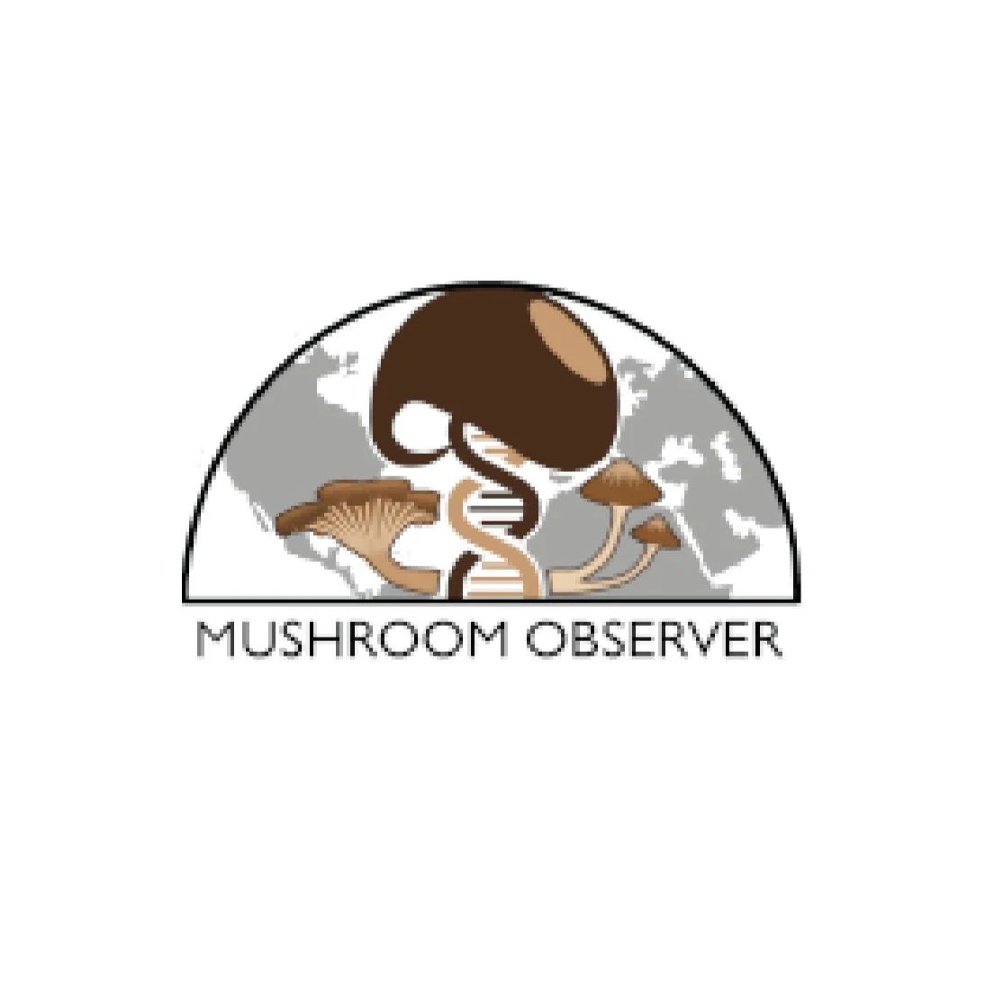 MushroomObserver+Logo-01.jpg