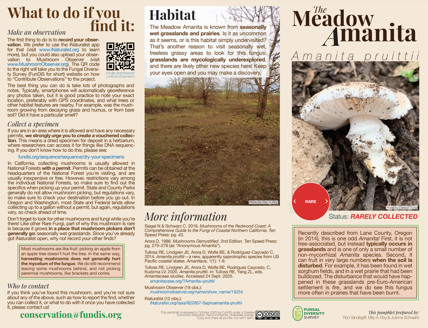 Screen Shot 2023-04-13 at 10.36.04 PM.png