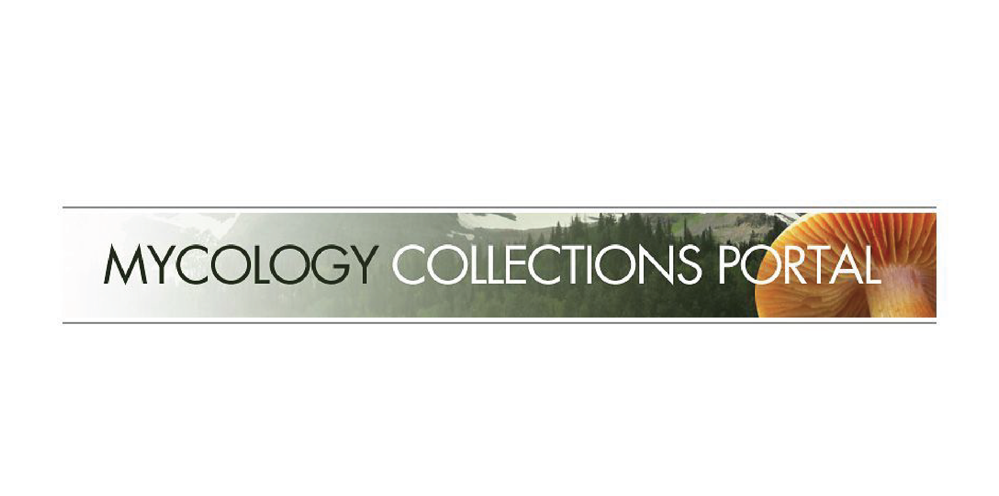Mycoportal_Logo-01.png