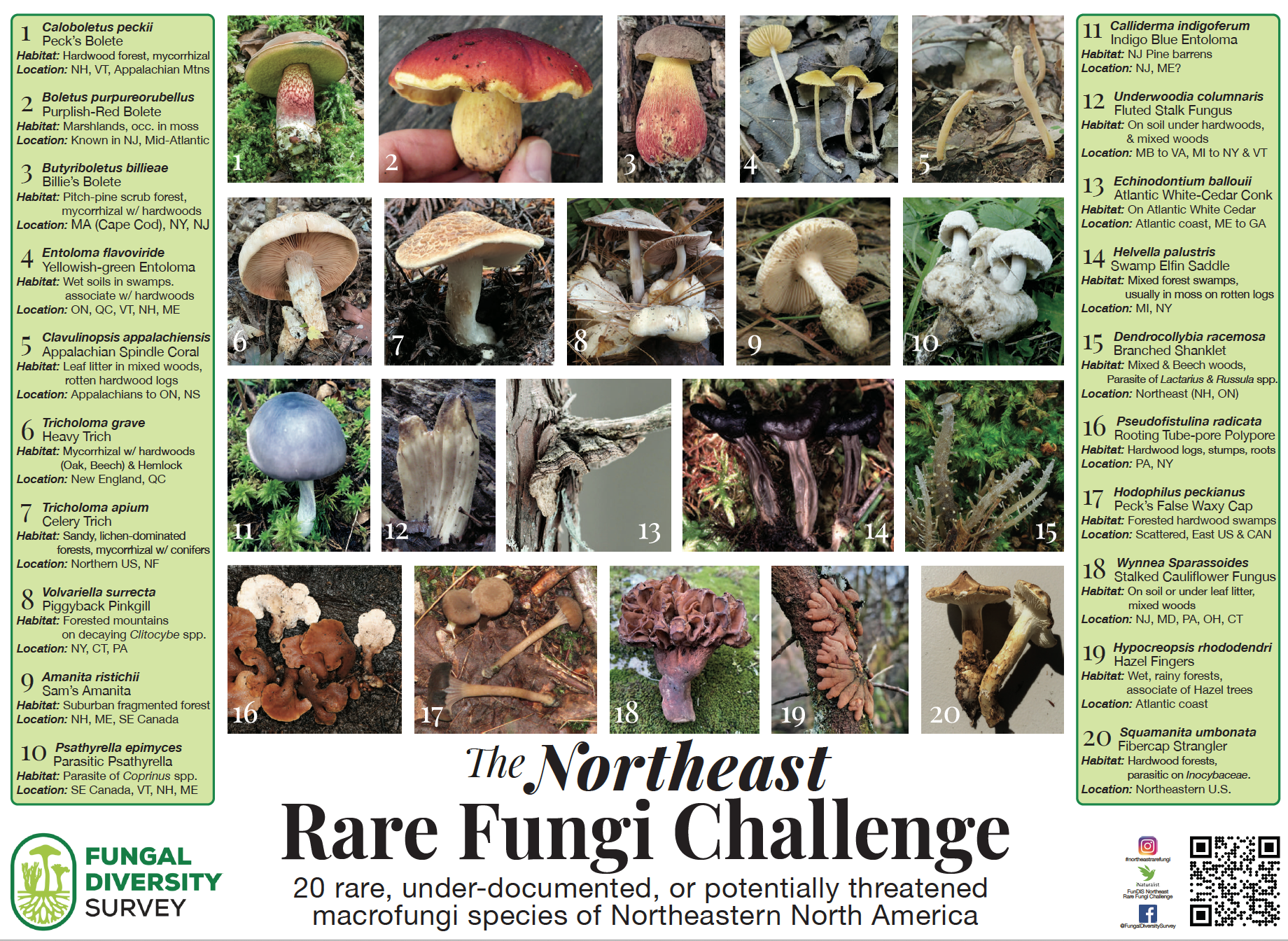 NortheastChSm_Poster.png