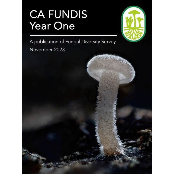 CAFUNDISYear1Report_Cover.png