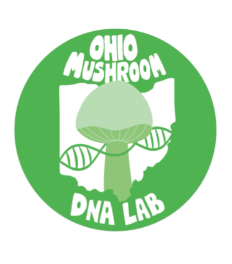 Screen Shot 2025-02-05 at 5.21.11 PM.png