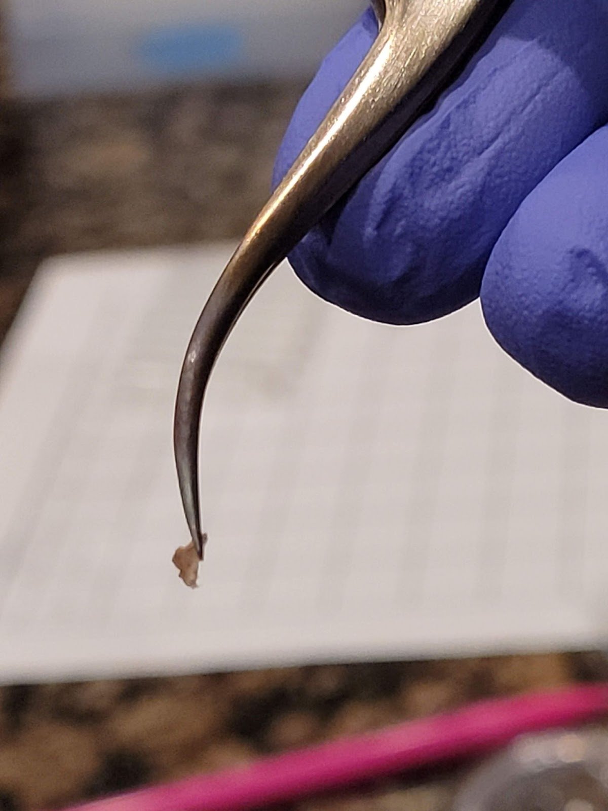 amount-2-dna-sequencing-prepare.jpg