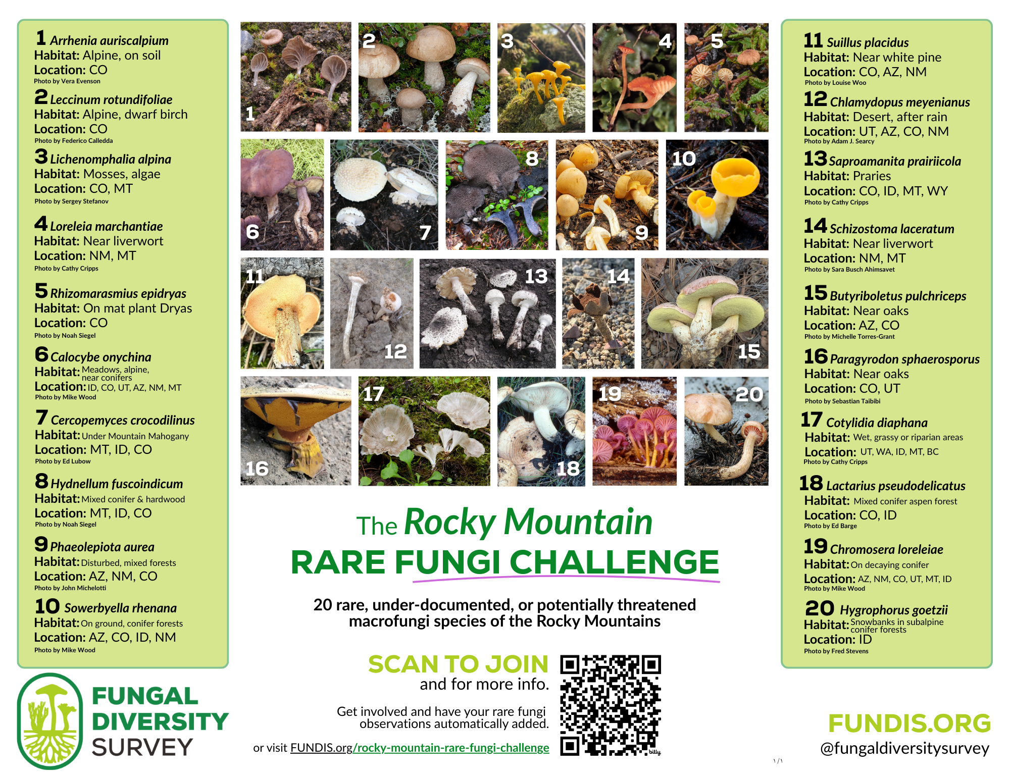 Rocky Mountain Poster_FUNDIS.png