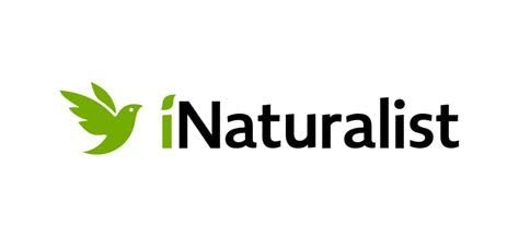 iNaturalist.jpg