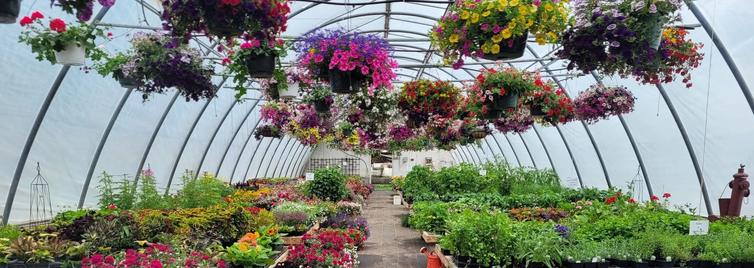 Four Seasons Greenhouse and Nursery