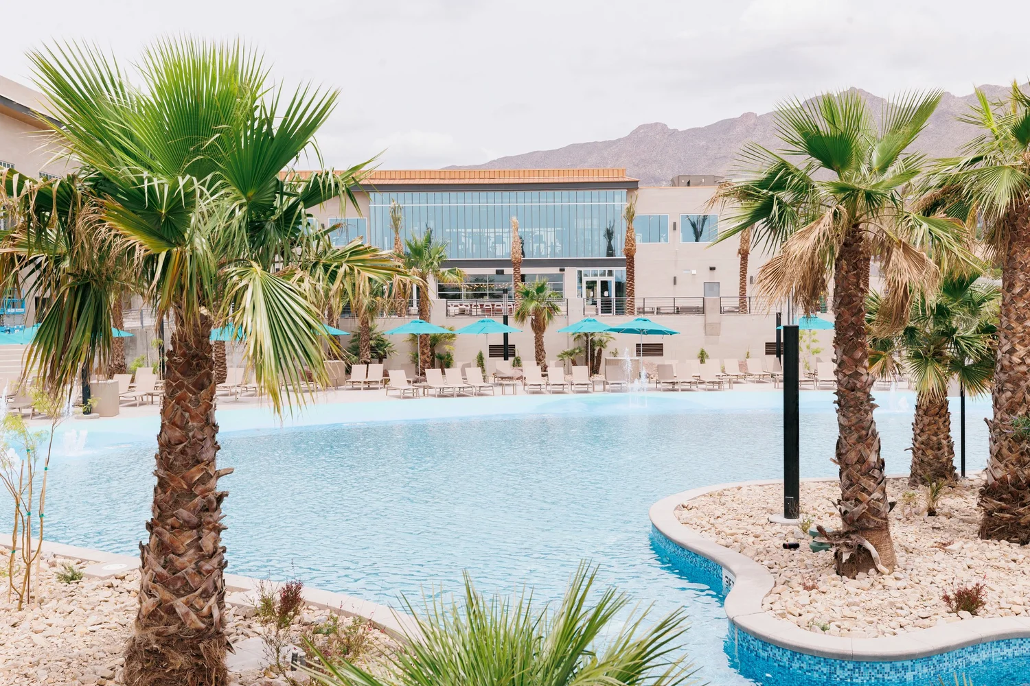 Swim Club — The Elmont El Paso