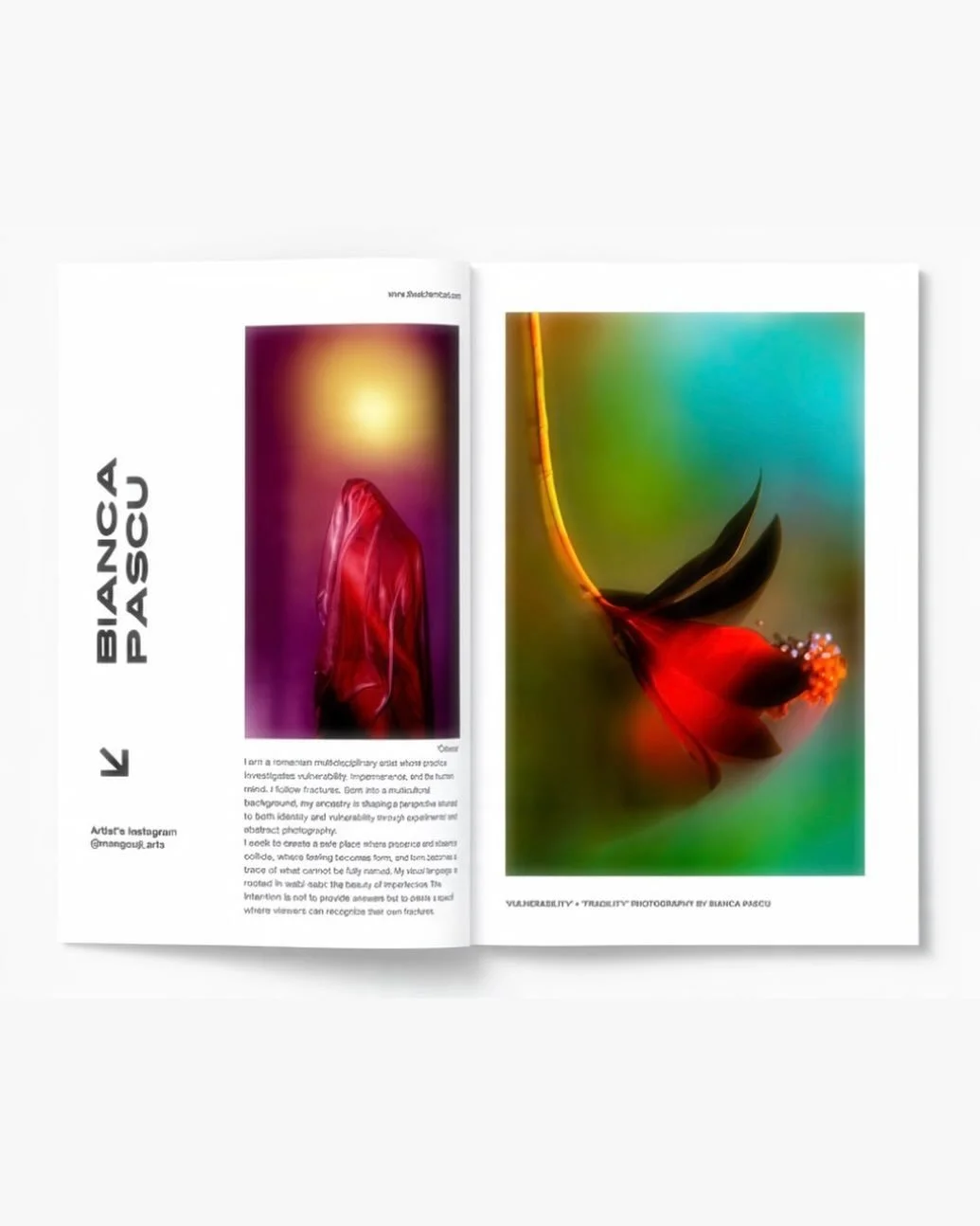 Sneak peak at the next issue of Spellbound...

Artist credit: @mangouji.arts 

#artmagazine #thealchemicalart