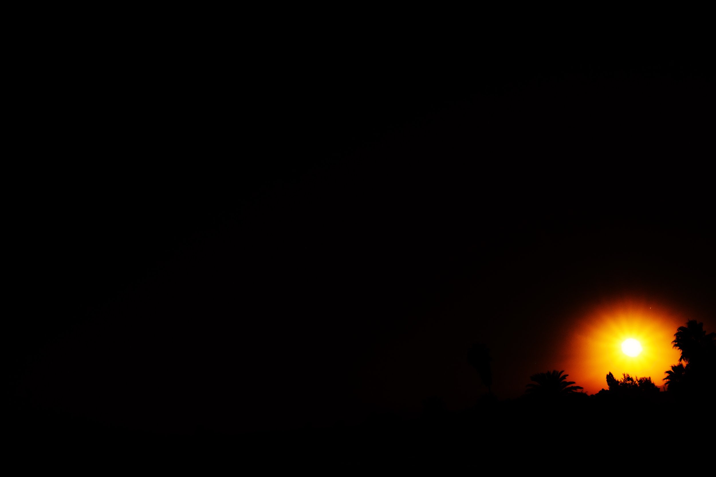 MagnusØstermann_Sun&Palms_Photography_75x50cm.jpg