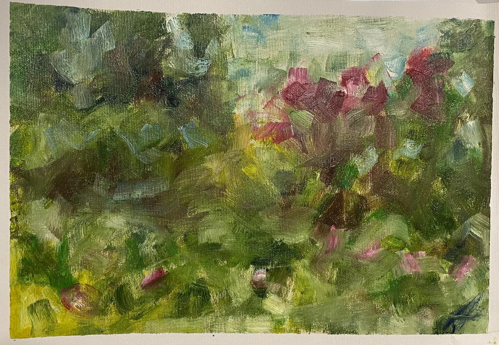 AnaMariaLazar_Garden_OilOnCanva_25x36cm.jpeg
