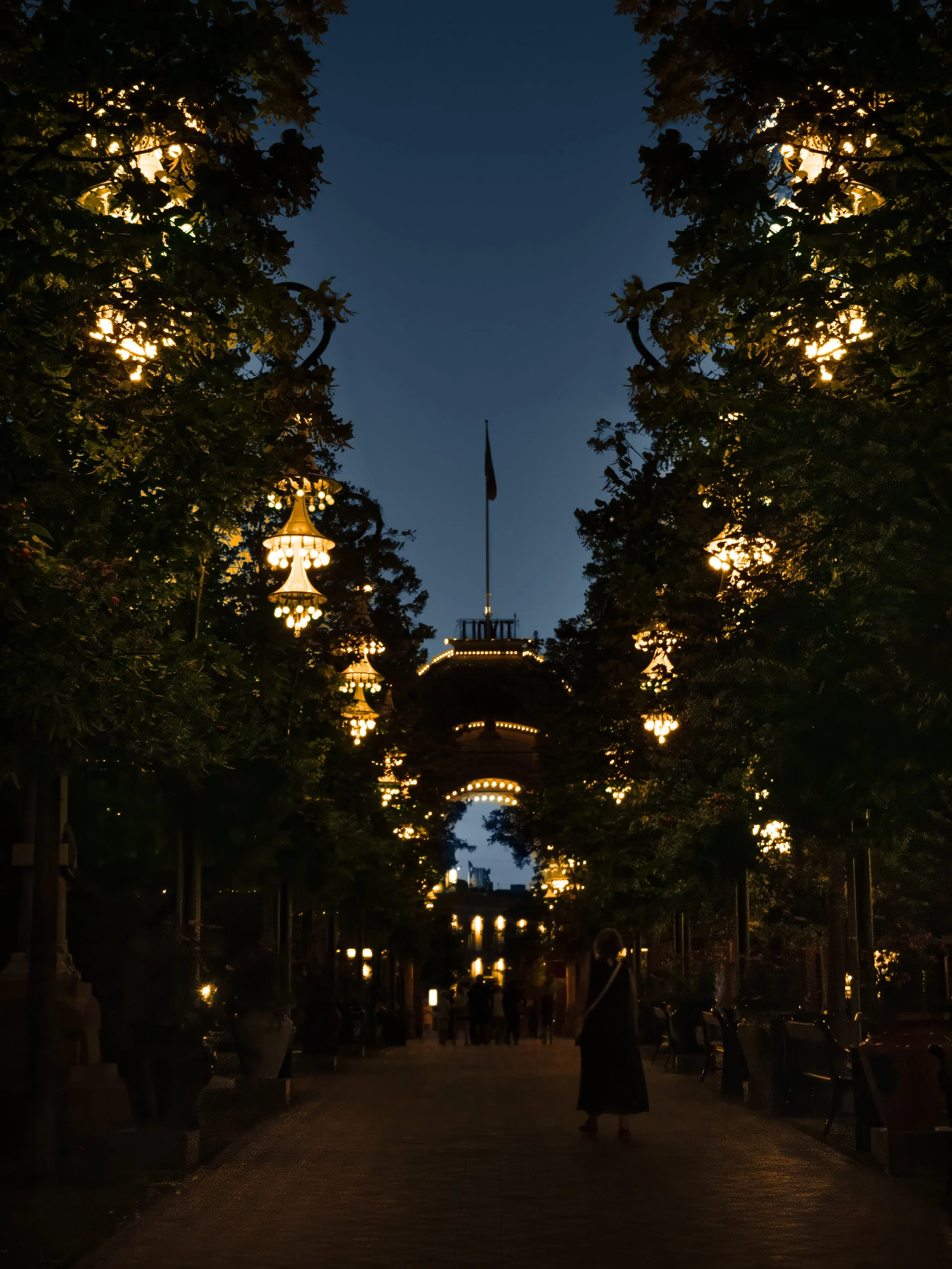 DavidFerman_Night_Lure_VI_DigitalPhotography.jpg