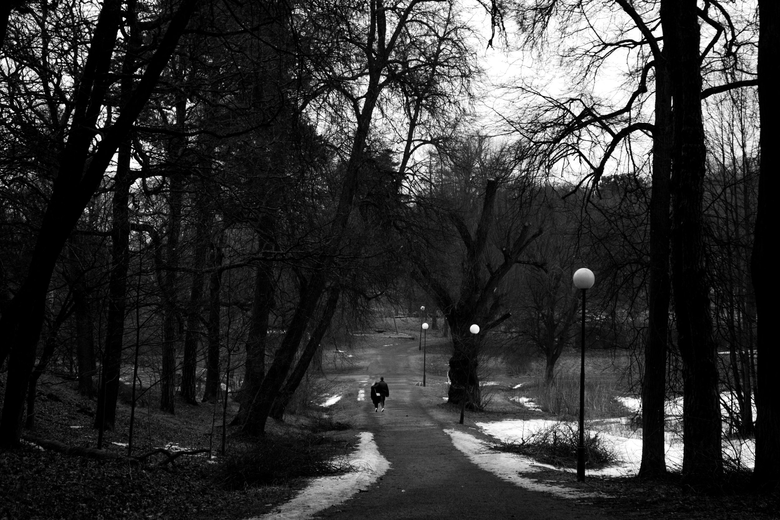 DavidFerman_Passage_DigitalPhotography.jpg