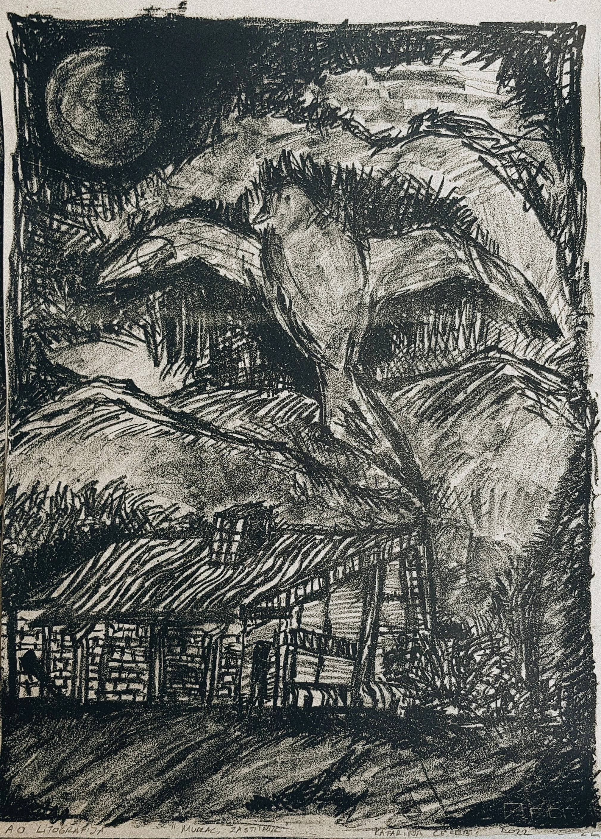 Mudrac,
50x71cm,
Lithography,
400€