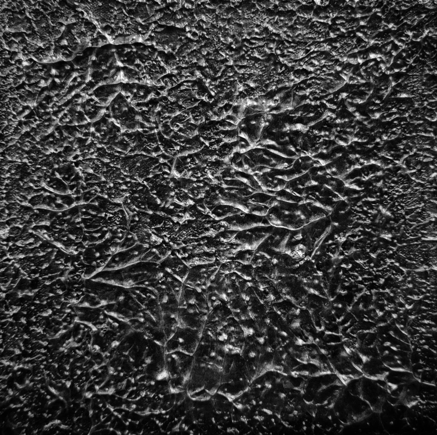 Moondust: Mixed media on canvas, 2023, 8 by 8 inches, USD 250