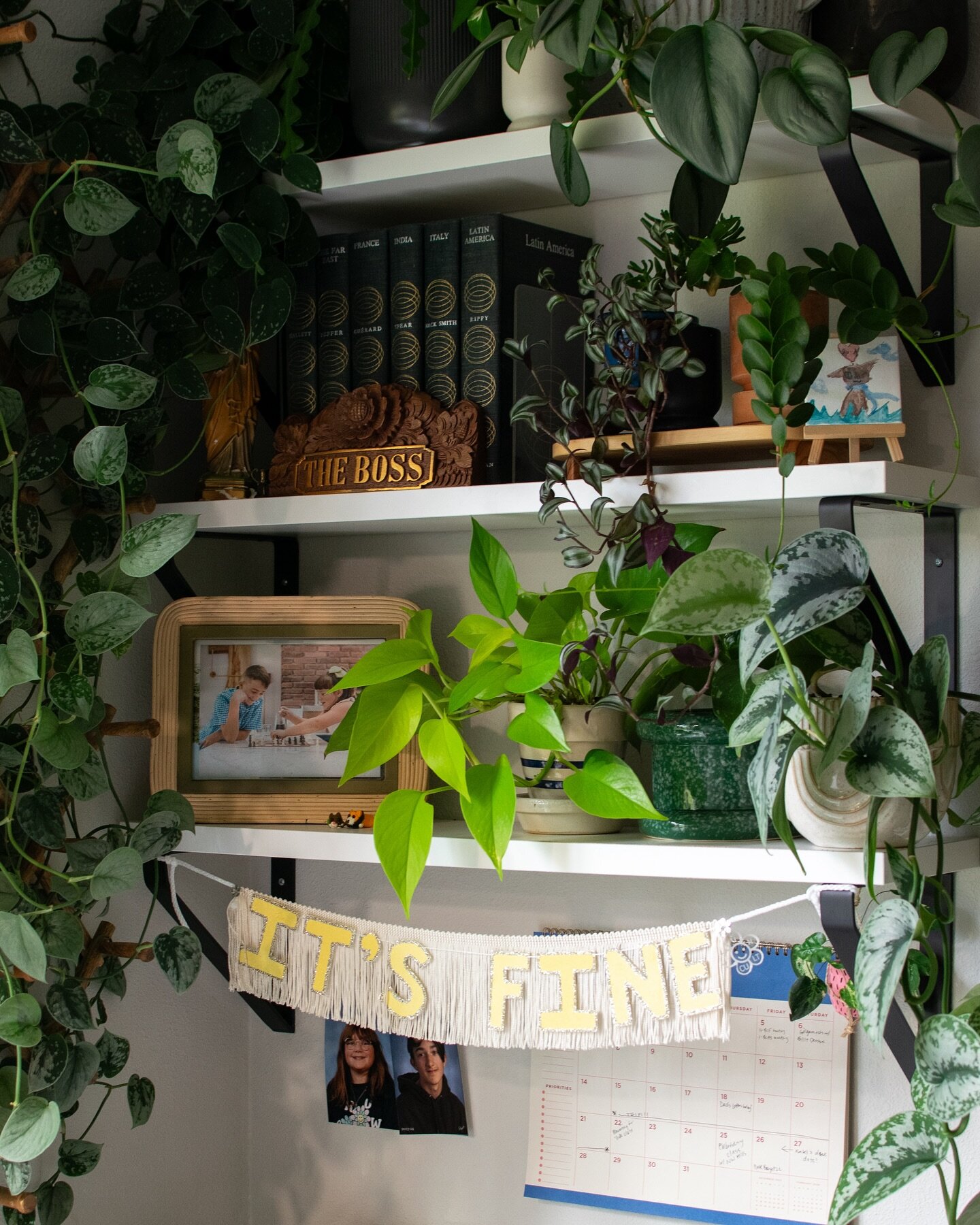 office jungle 💚

Going through the applications for the Warehouse Sale in the next day or two, I&rsquo;ll reach out to everyone asap!
