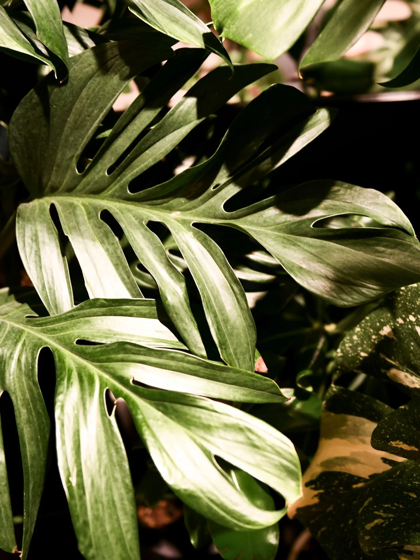 Hello 2026 👋 Rolling into a new year of business and feel like I&rsquo;m really hitting my stride with Bustlin&rsquo;. There were wins in 2025, a few fumbles (and a lot of learning along the way), and so much growth because of it. I&rsquo;m really e