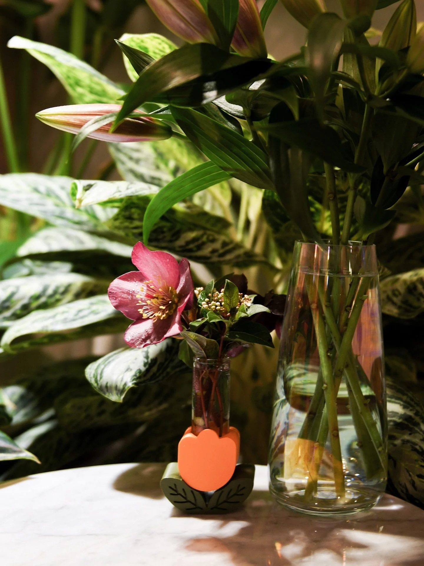 Fun announcement number one for the year: I just added over 30 new items to my website! 🎉 Any small business owner will understand how much of a win this is, ha! From my plant must haves to office supplies to adorable things from small creators (lik