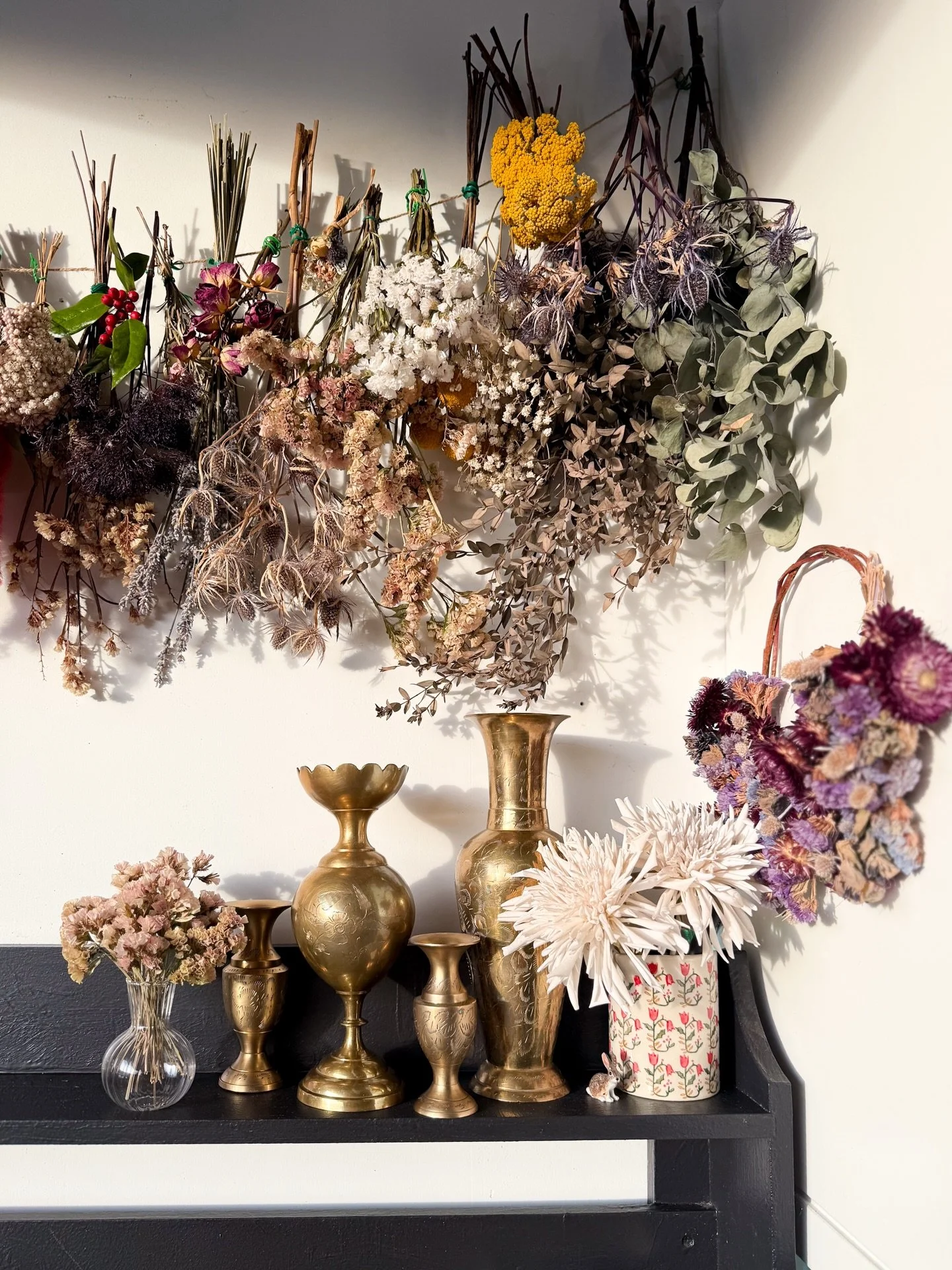 My little plant corner is my happy place 💕. Currently working on manifesting a shed (wink wink @collin_schneider), but until then this little slice of my garage will do. And man, does it get the job done! I make my own soil blend and am able to turn