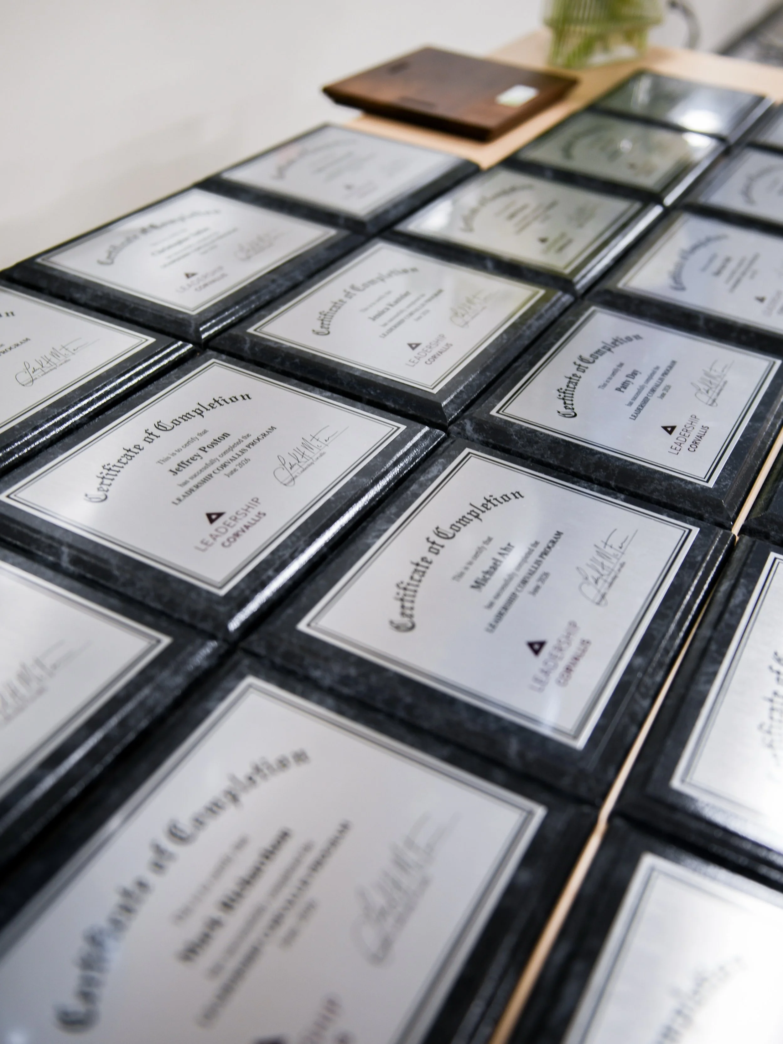 It&rsquo;s been way too long since I&rsquo;ve done one of my &ldquo;join a board&rdquo; posts, so here we go 😊

I snapped these photos at @leadershipcorvallis&rsquo;s Class of 2026 Graduation last month, and I just want to say congratulations to eve