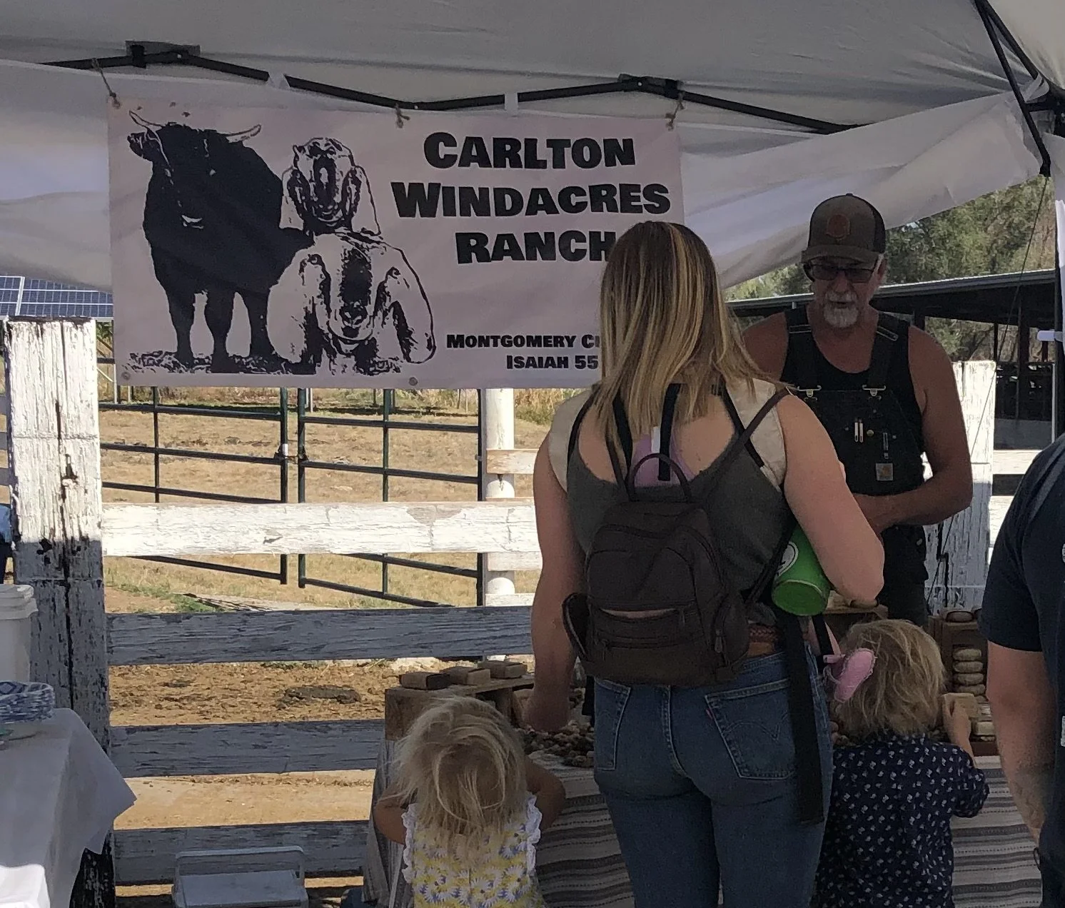 Burney Basin Days