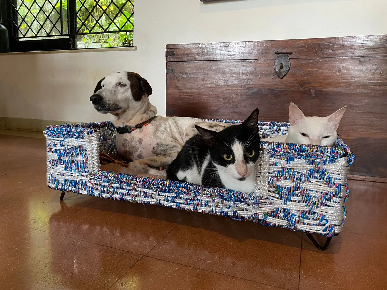 WhatsApp Image 2021-09-23 at 8.27.50 AM (1).jpeg