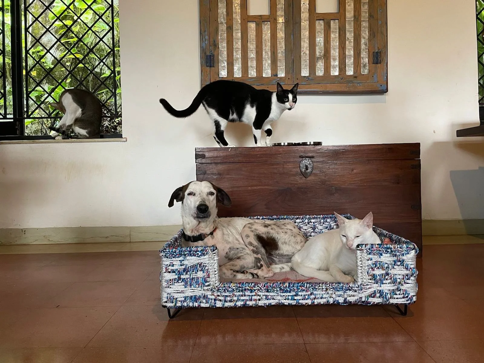 WhatsApp Image 2021-09-23 at 8.27.51 AM (1).jpeg