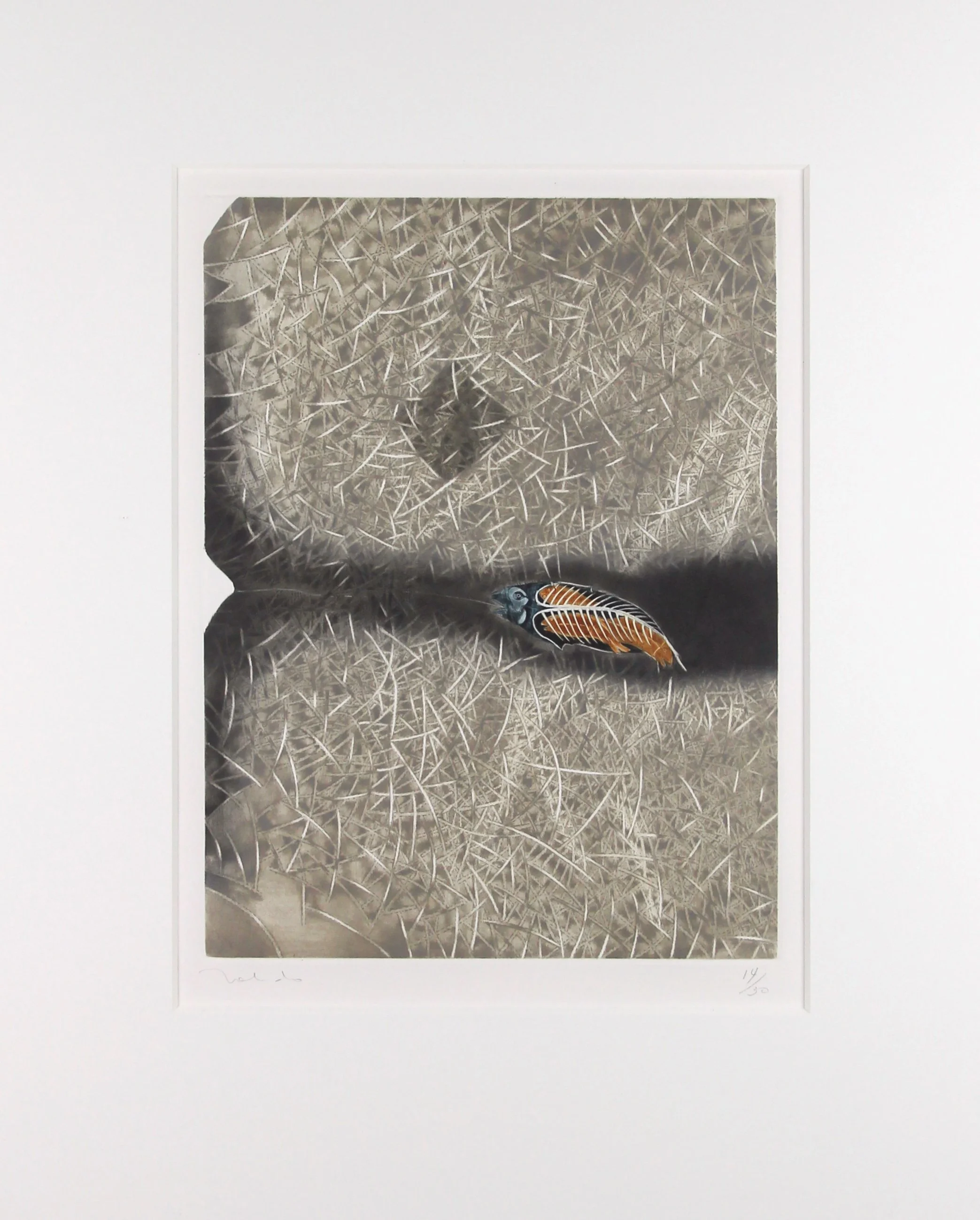 Francisco Toledo, El Pez, 14/30, 1976,	etching, 	31 x 24in framed, $2,500