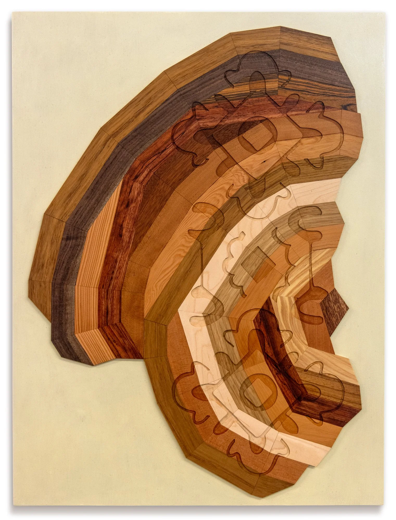 Gentleness #4, 2026, 22 x 30 in.
Salvaged wood (teak, walnut, Douglas fir, bubinga, mahogany, cherry, maple, oak, sapele) and oil on wood panel
$3000