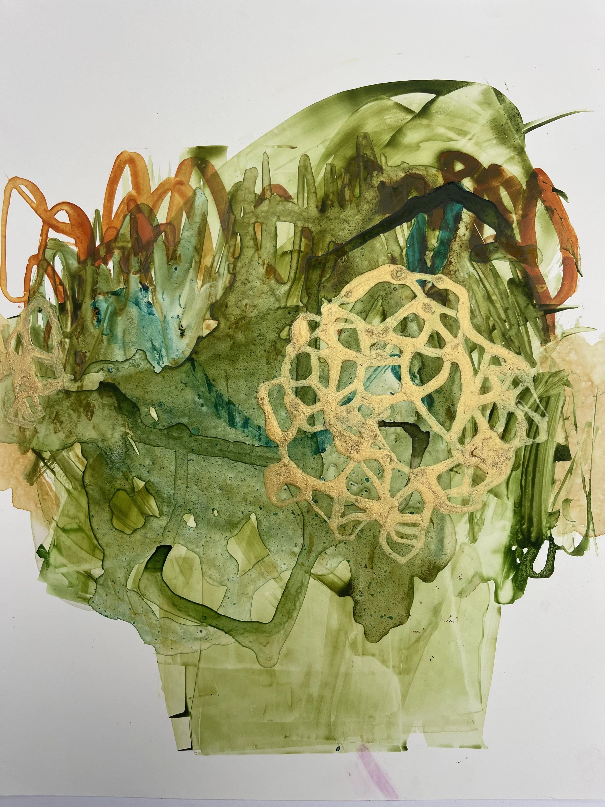 Botanical Experiment #1, 2025, Alcohol and watercolor inks on Yupo paper, 14x11in 
$950.00