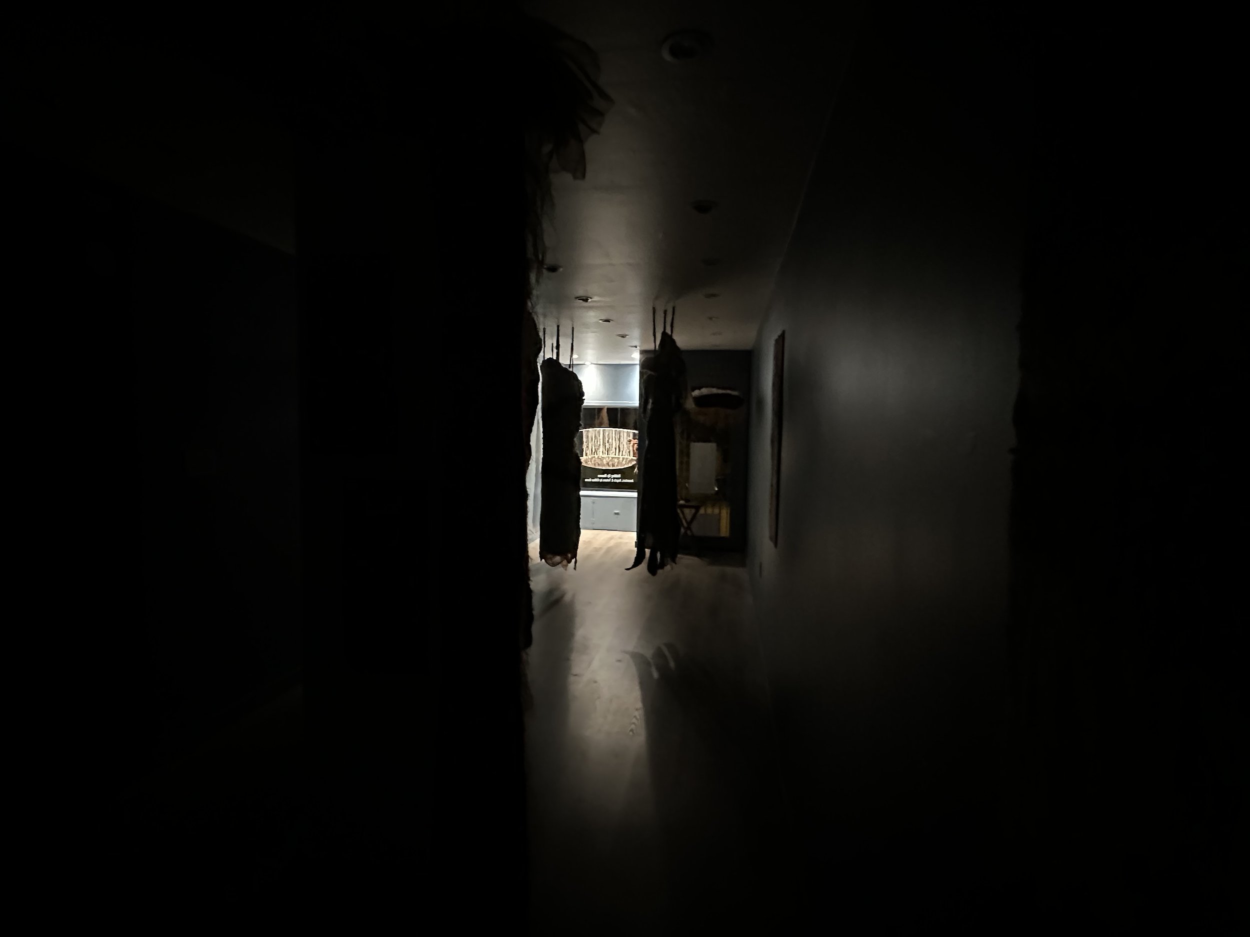 IMG_2265.jpeg