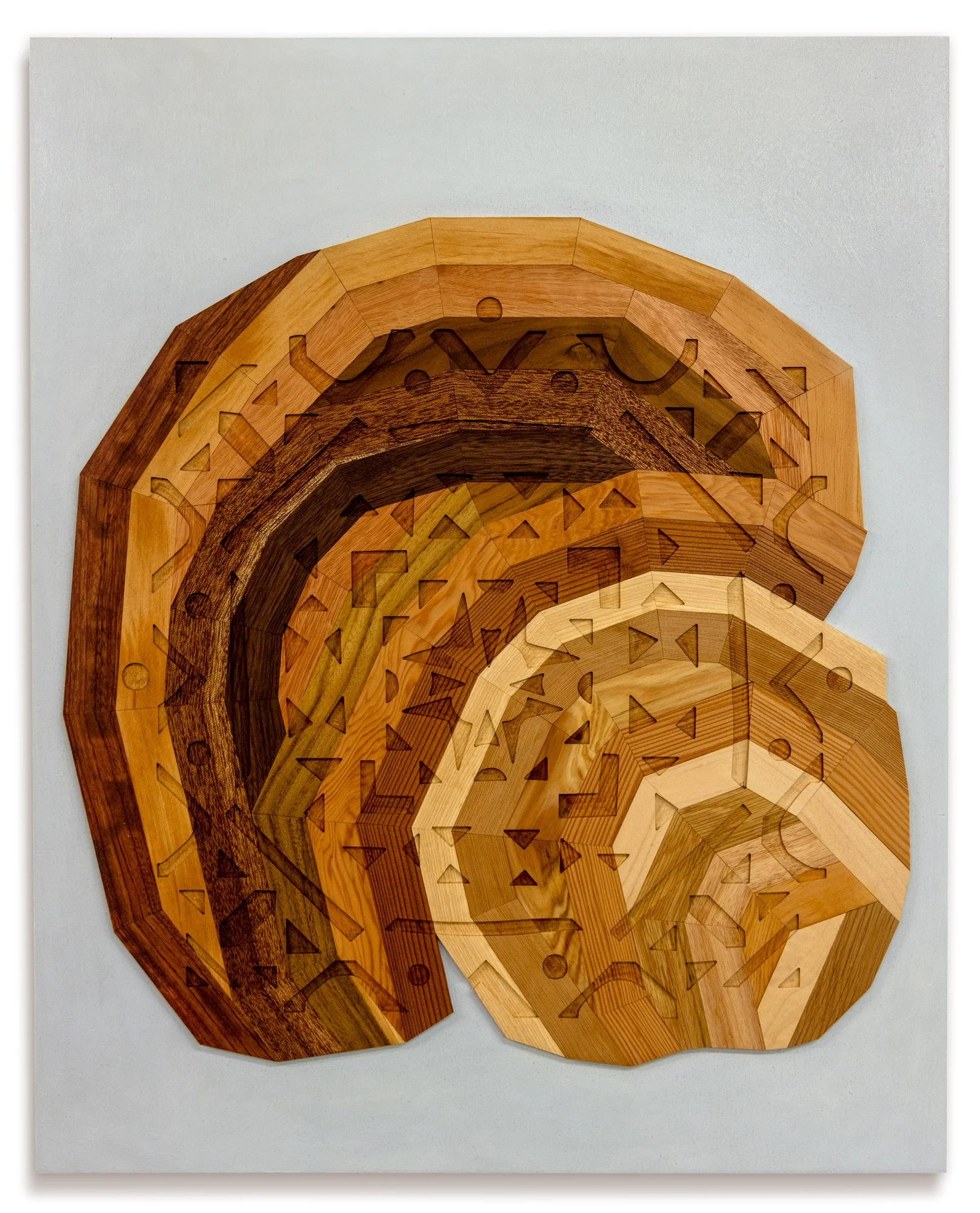Gentleness #1, 2026, 24 x 30 in.
Salvaged wood (bubinga, Douglas fir, mahogany, teak, walnut, redwood, pine, oak, ash) and oil on wood panel
$3000