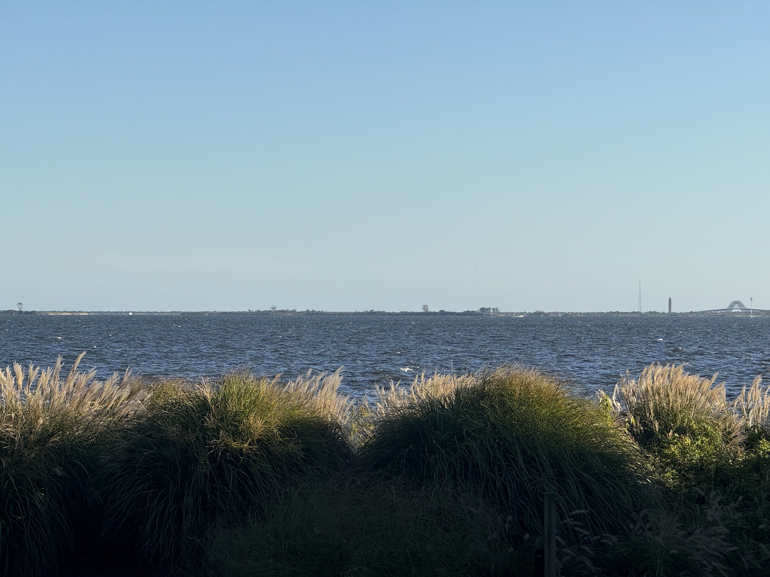 IMG_0211.jpeg
