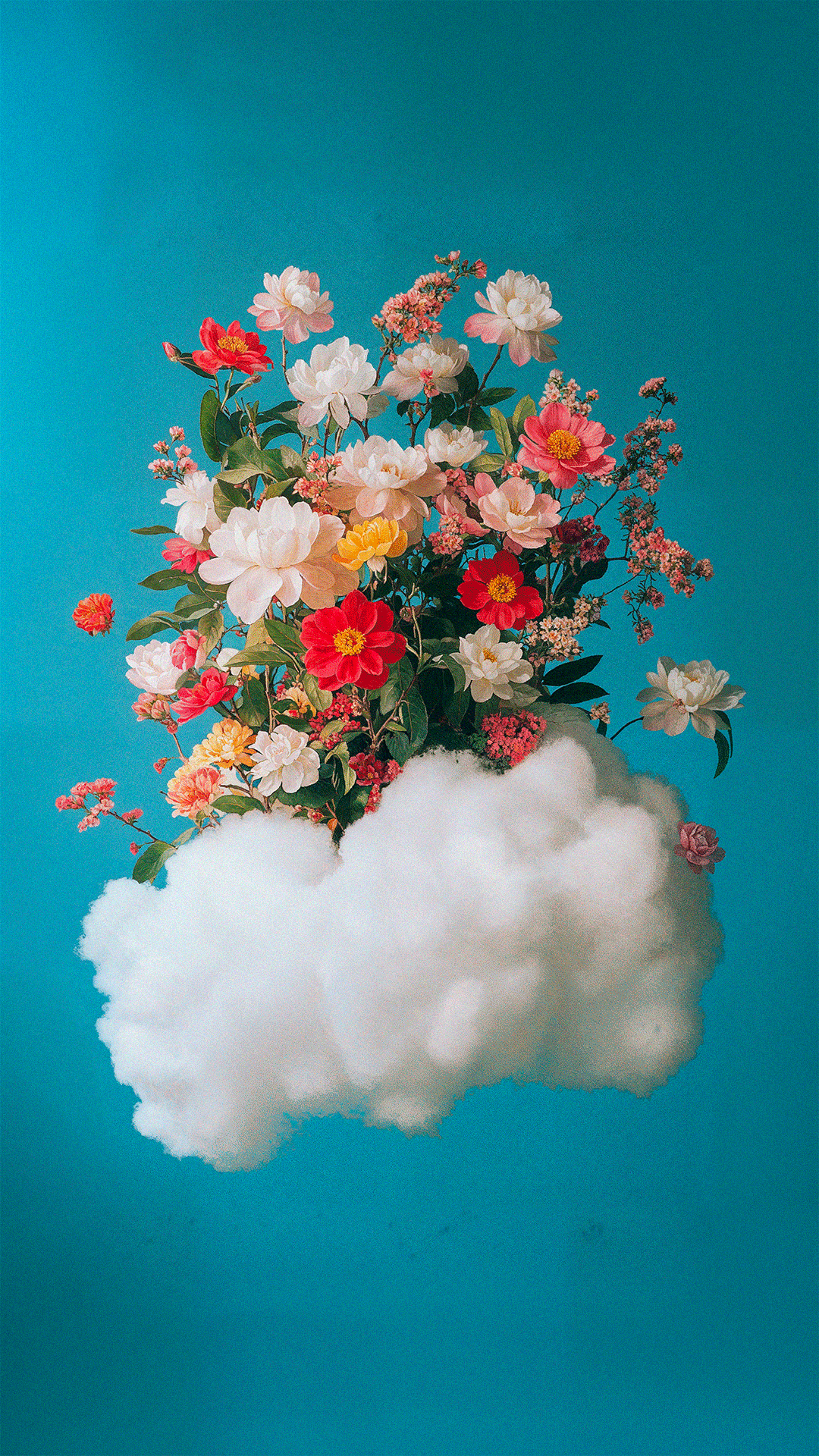 STORY_03.gif