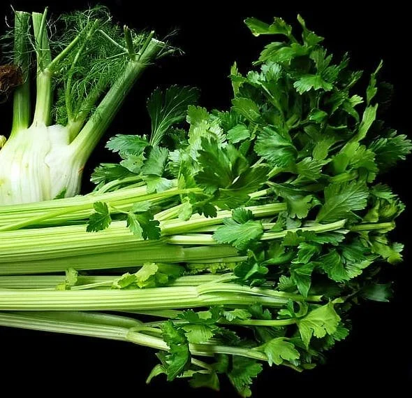 vegetables-celery-fennel-corn-fresh-vegetarian.jpeg