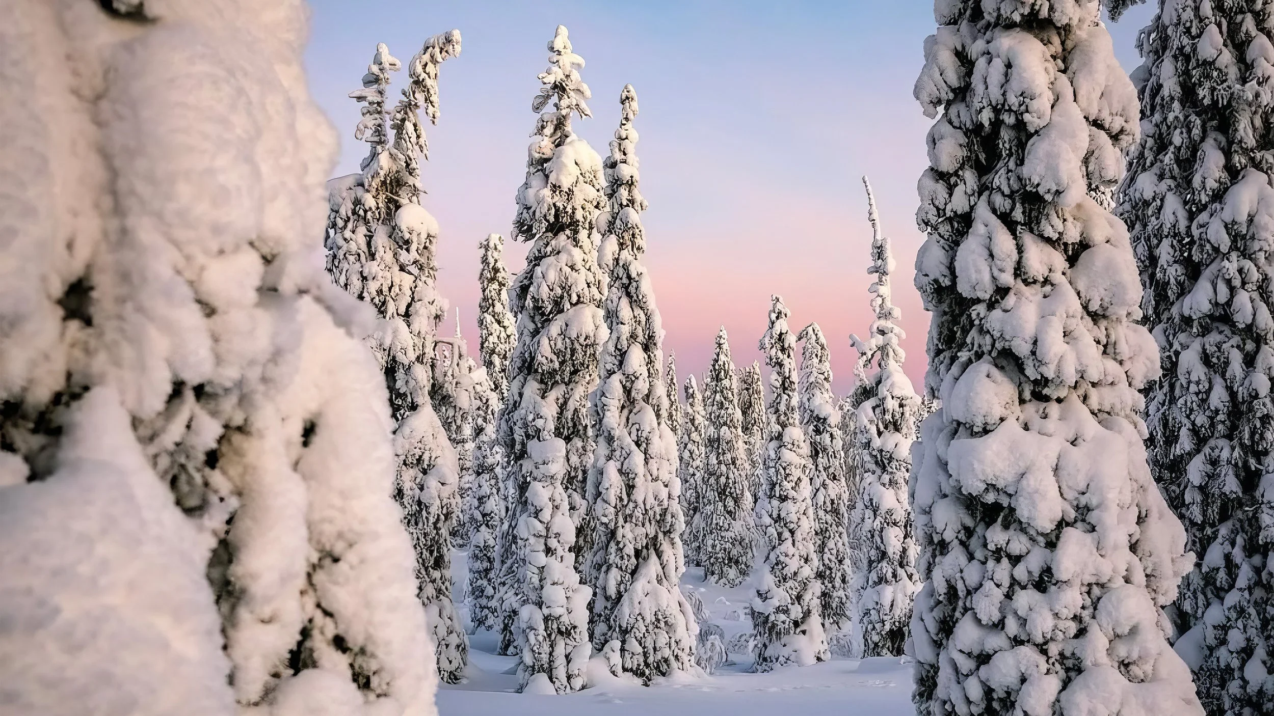 Haemme johtavaa asiantuntijaa vahvistamaan luonnon monimuotoisuutta
