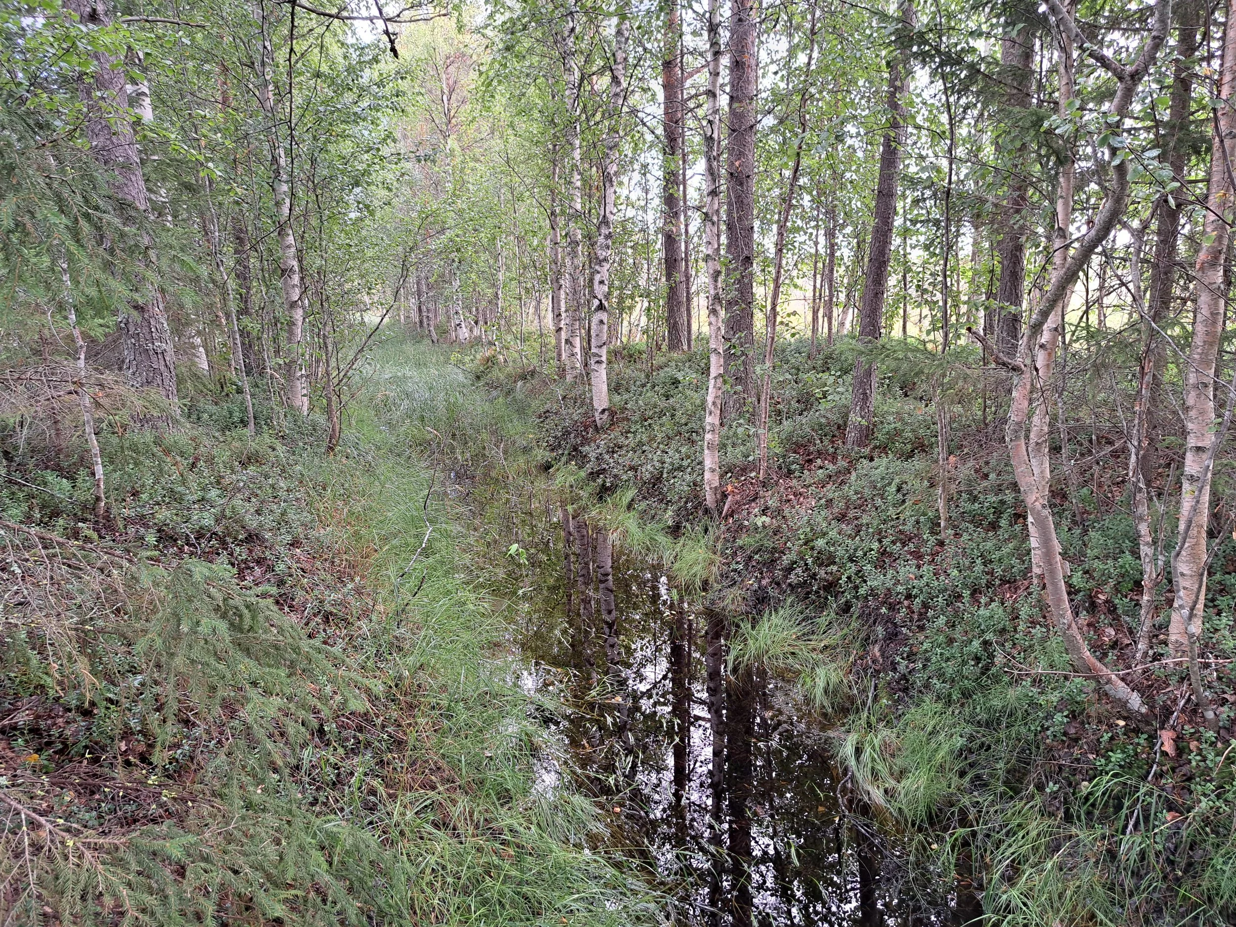 20250824_102237.jpg