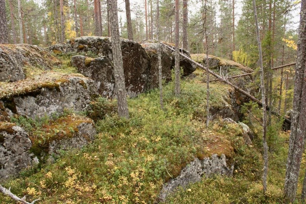 Pöytäkangas IMG_0970.JPG