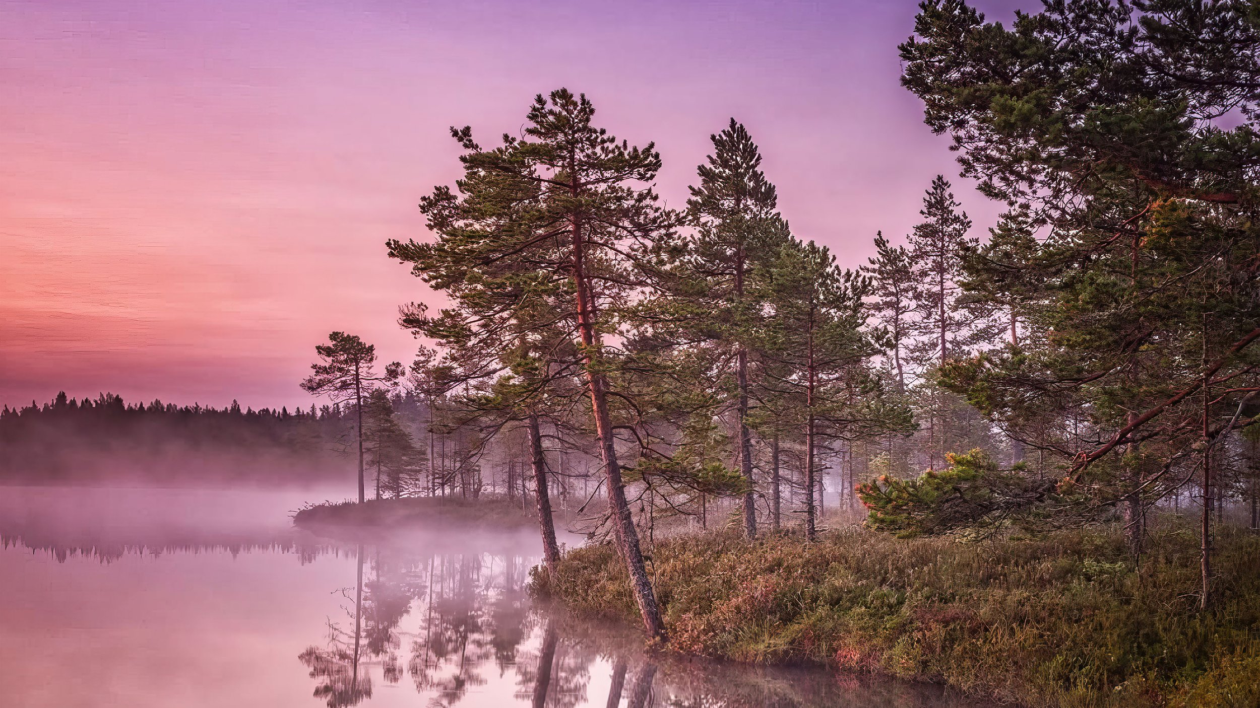 Haemme asiantuntijaa vahvistamaan luonnon monimuotoisuutta