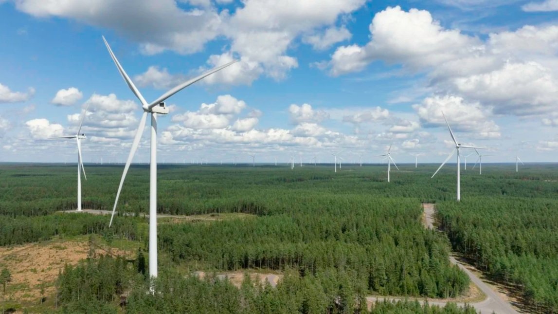 Ekologisesti kunnianhimoinen ympäristösääntely on luontovastuullisten tuuli- ja aurinkovoimayritysten etu