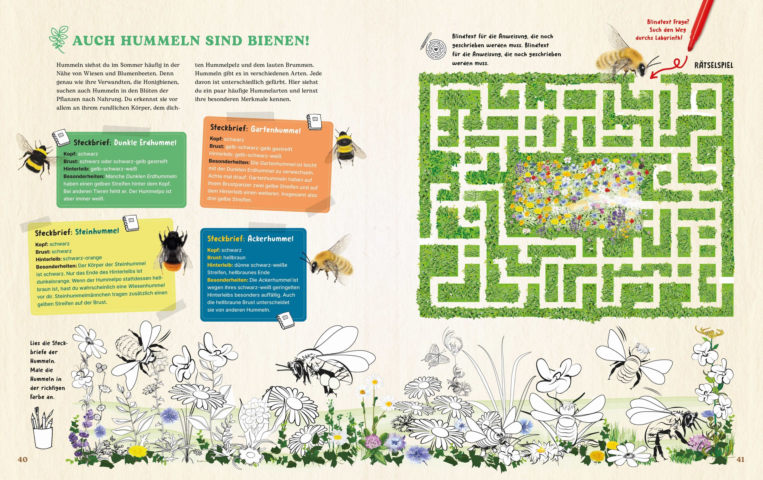 LemanPublishing_Bienen_Inhalt3.web.jpg