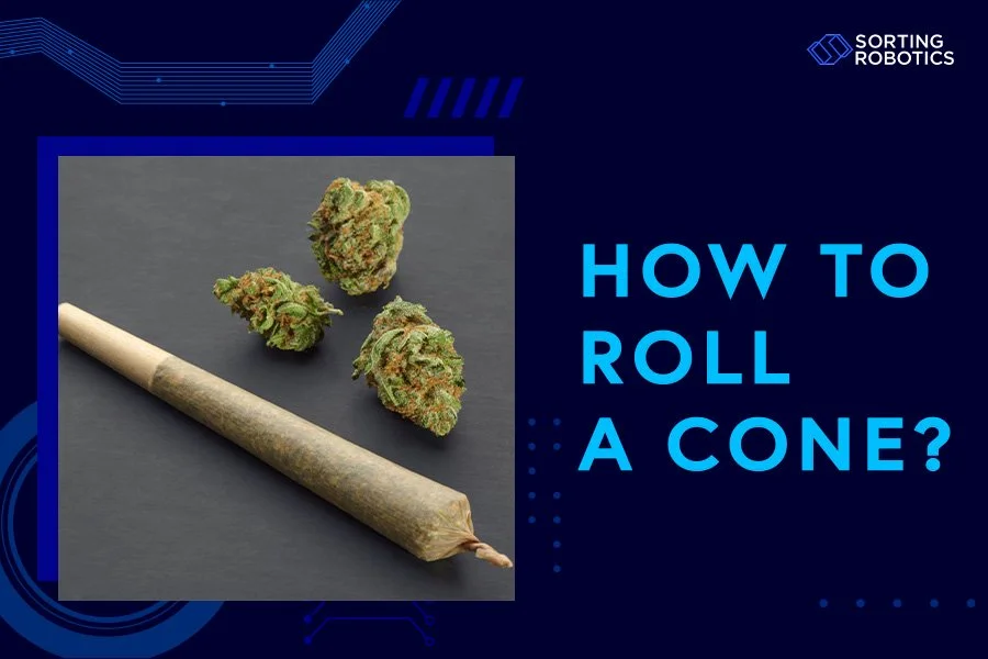 How to Roll a Cone
