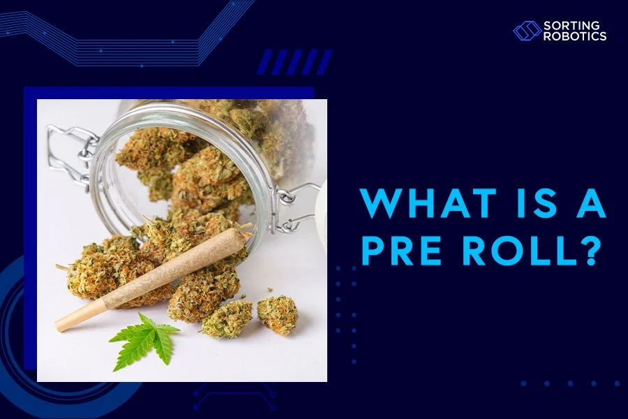 What Is a Pre-Roll?