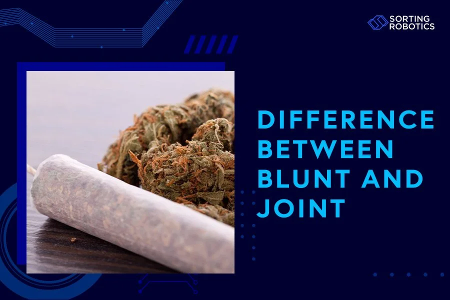 Difference Between Blunt and Joint