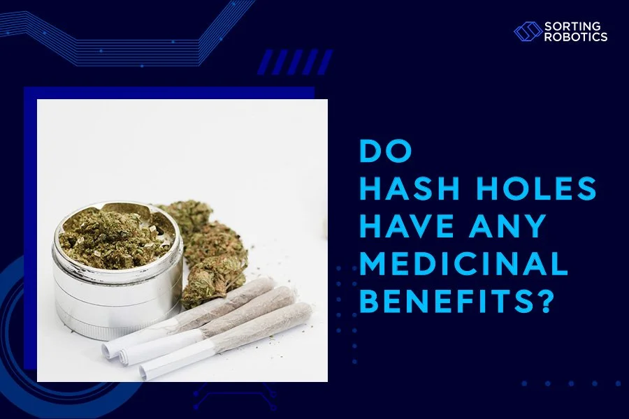Do Hash Holes Have Any Medicinal Benefits?